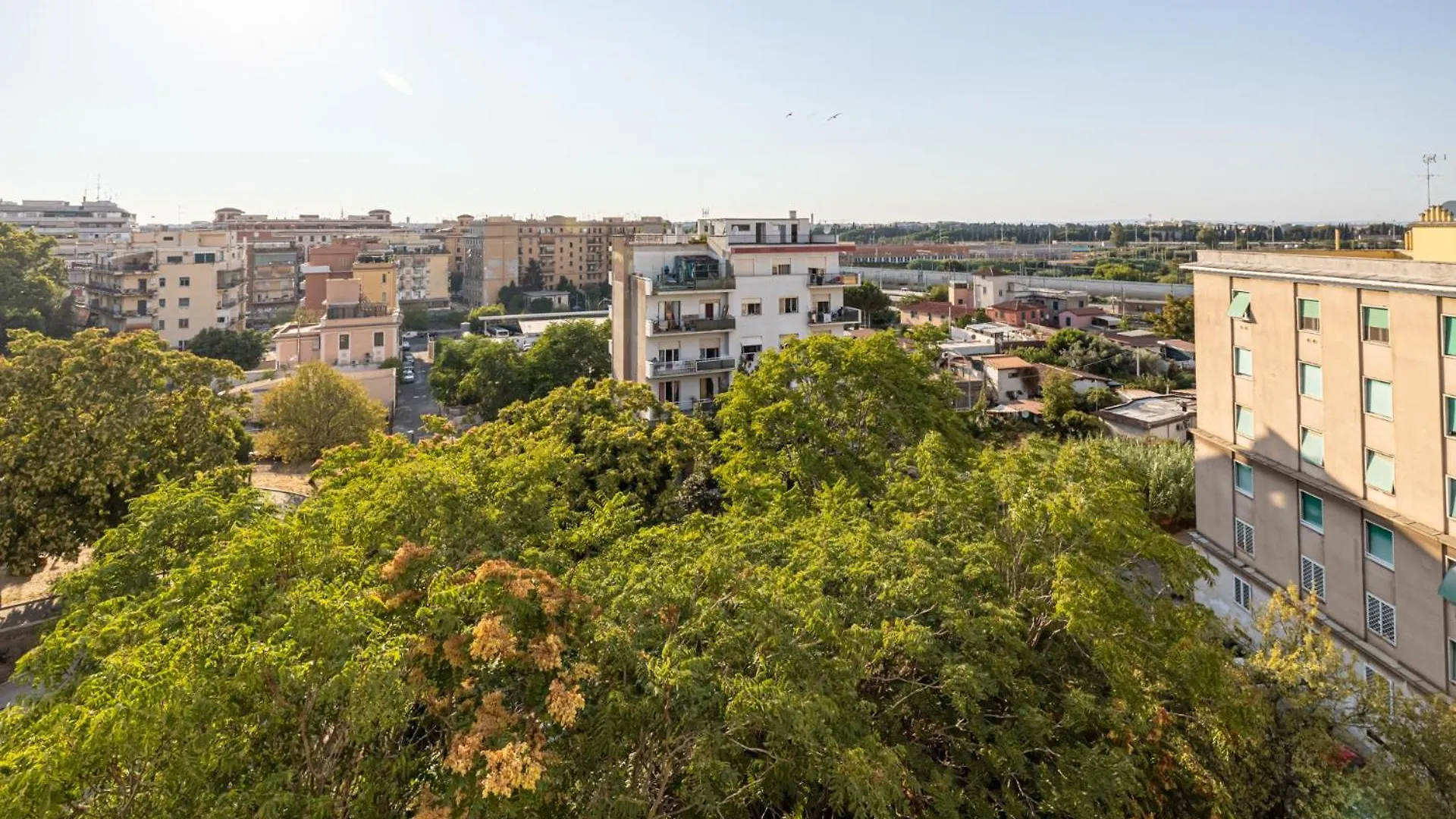 Affittacamere Colleoni B&B Roma Italia